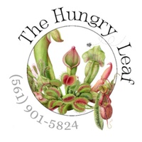 The Hungry Leaf