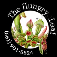 The Hungry Leaf
