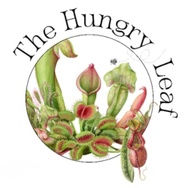 The Hungry Leaf