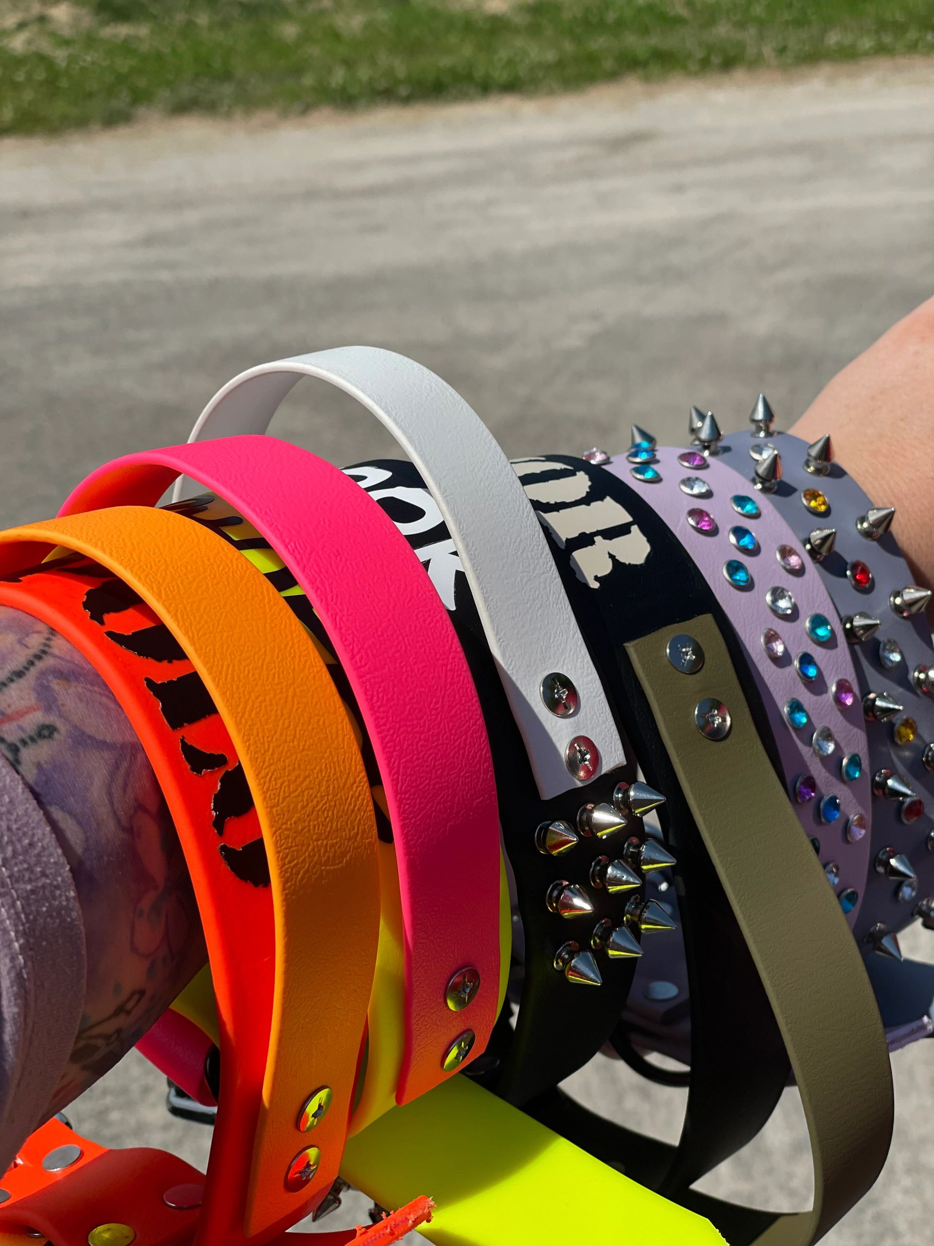 Photo Gallery Wags to Wishes