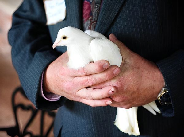 Man holding a dove