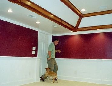 Basement Remodel with tray ceilings, recessed lighting, wainscotting, and a custom trim package. 