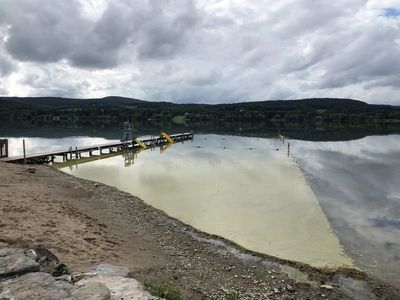 Image of harmful algal bloom conditions at Springfield swimming area. Credit: Holly Waterfield
