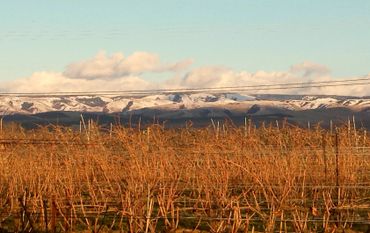 Looking towards the Blue Mountains