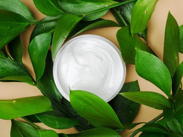 Cream jar, surrounded by leaves.