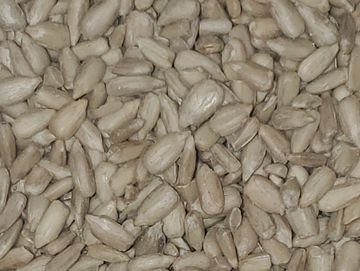 Hulled sunflower seeds