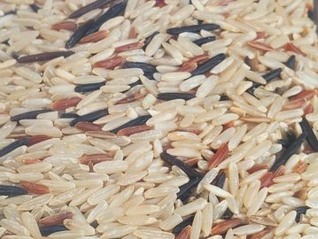 Mixed Wild Rice, brown, black and white strands of rice.