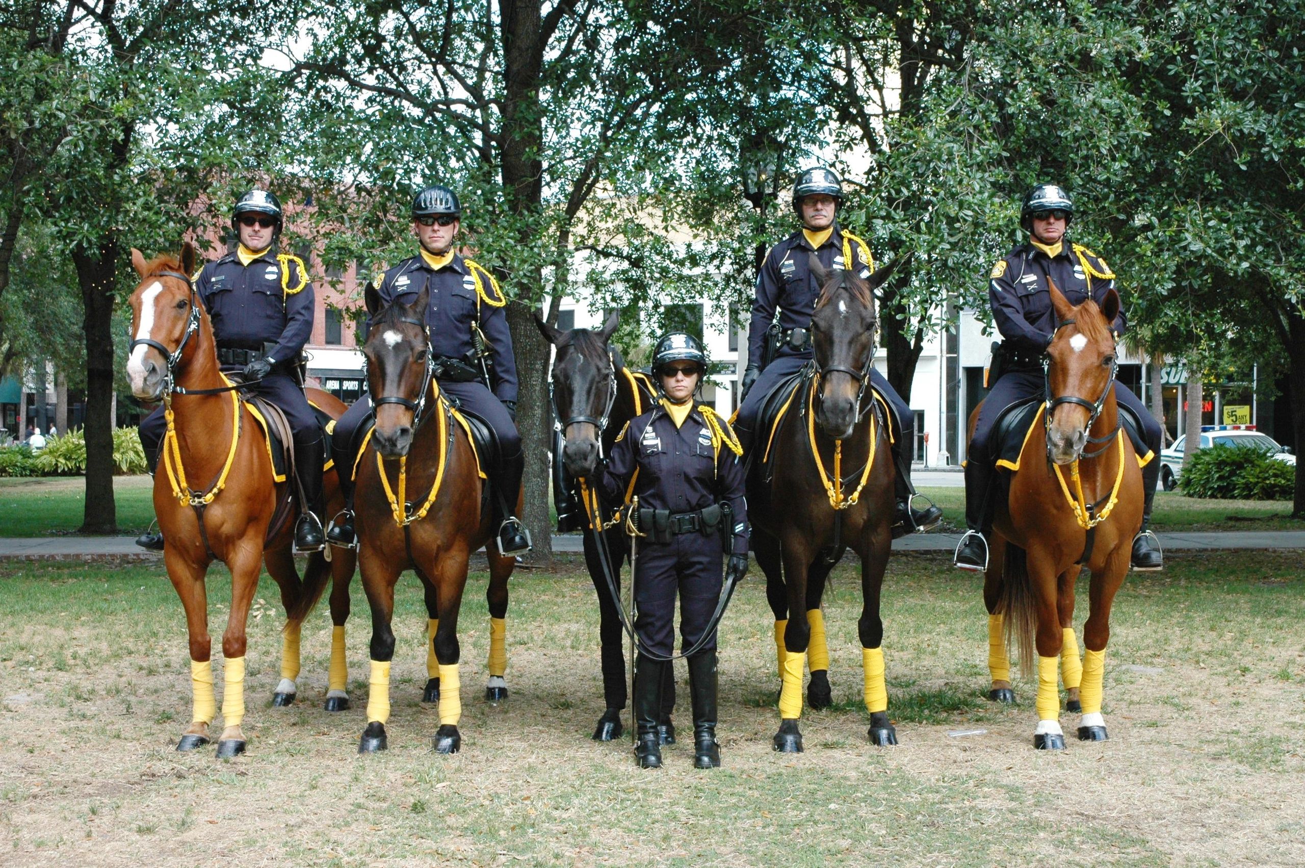 Tampa Police Department Mounted Patrol Unit