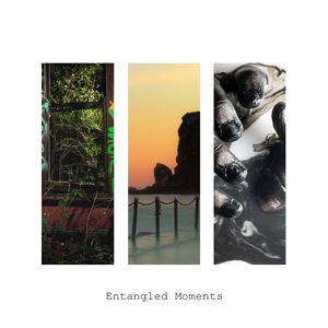 Album Cover for Entagled Moment by Alan Dweck