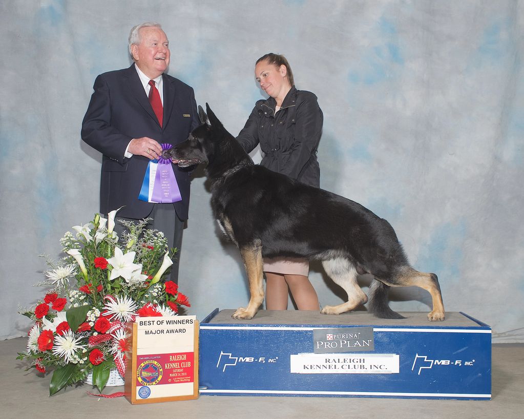 Nash - Winning Best of Winners 
Judge Robert Slay 
