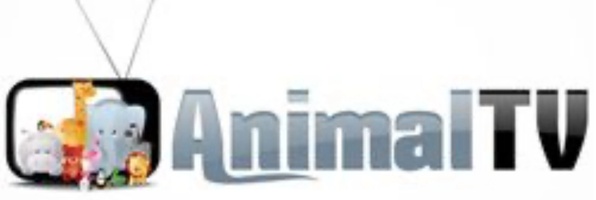 Animal-TV