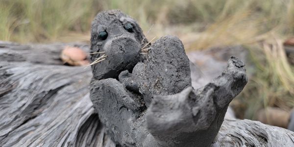 A small clay figure with stick whiskers and bead eyes on a tree stump.