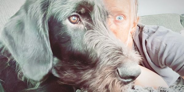 Close-up of a dog and a person.