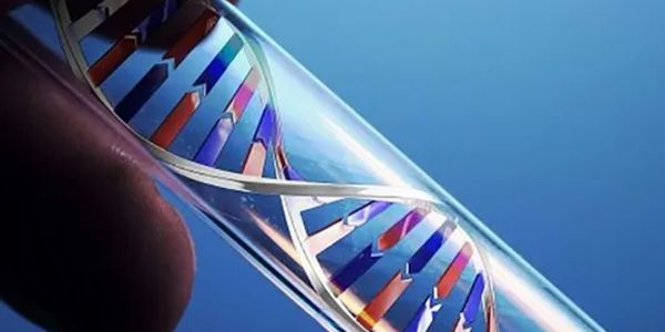 Service | Conducted Living DNA Screening