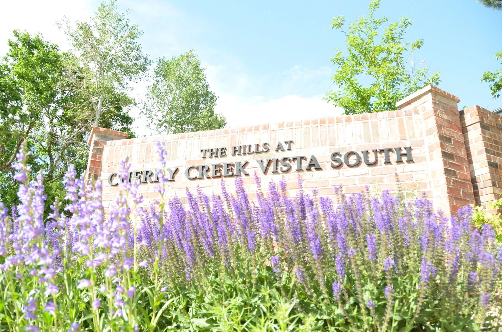 Cherry Creek Vista South HOA