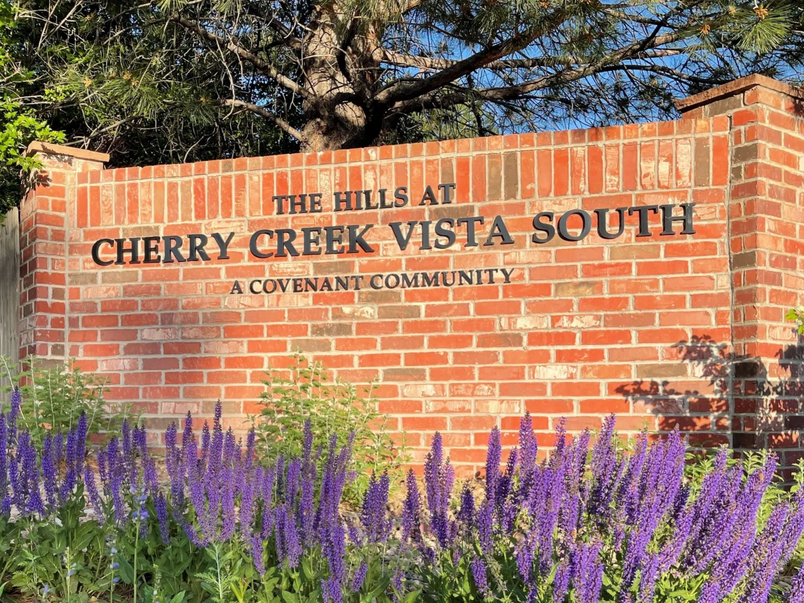 Cherry Creek Vista South HOA