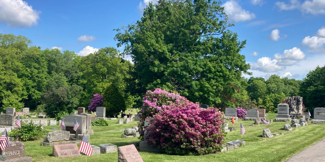 Cemetery with blooming flowers and American flags on graves.