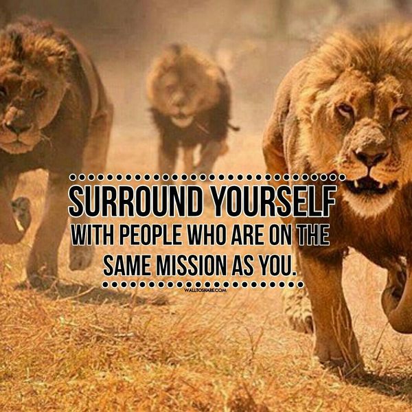 Surround yourself with people who are on the same mission as you.