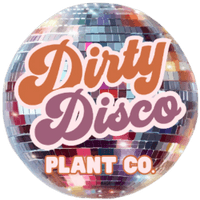Dirty Disco Plant Co.