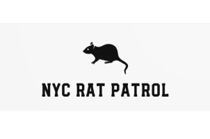 NYC Rat Patrol