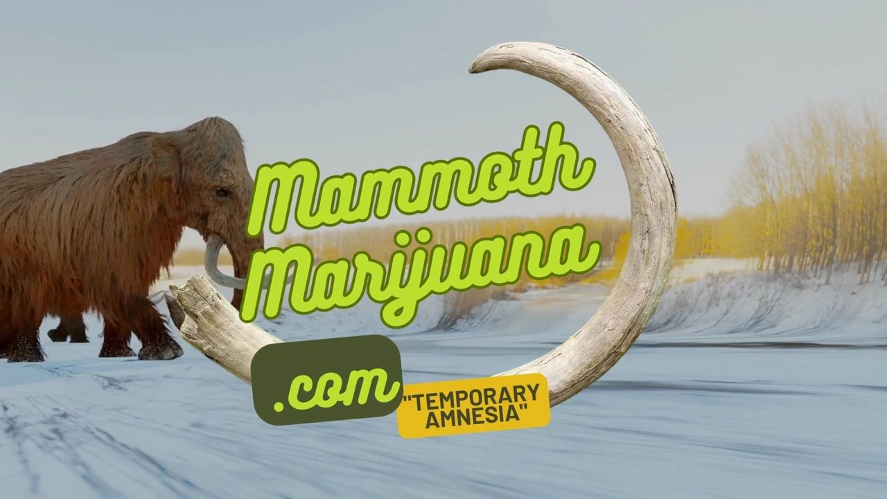 https://img1.wsimg.com/isteam/ip/65bdcf37-b5d3-4782-8cc9-611069d6edc8/thumbnails/thumbnail-a1a0287f-1ecd-4f07-aa42-4b5042cc4b08.png
