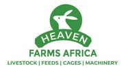Heaven Farms Africa is a farming company dealing in Livestock, Cages, Fertilizers, & farm setups.