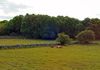 Glenlo Abbey to Kylemore Abbey