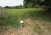 Molanna Farm
