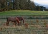 Killarney (Aghadoe Heights Hotel)