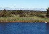 Corrib Cruise