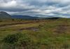 Glenlo Abbey to Kylemore Abbey