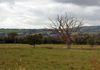Molanna Farm to Muckross