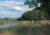 Mt. Juliet