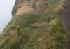 Cliffs of Moher