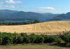 Lough Leane, Killarney