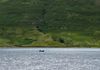 From Kylemore Abbey to Glenlo Abbey