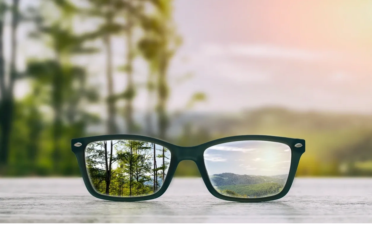 EA Hamilton Consulting