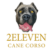 2Eleven