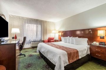 King Standard Guestroom