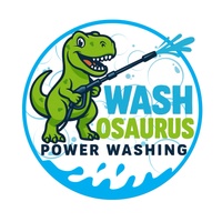 Washosaurus Power Washing