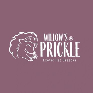 Willow's Prickle Logo