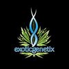 Exotic Genetix