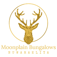 Opening Soon