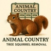 Tree Squirrel Removal 
For an immediate Response 
(626)595-2174