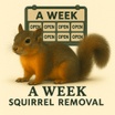 Tree Squirrel Removal 
For an immediate Response 
(626)595-2174