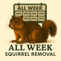 Tree Squirrel Removal 
For an immediate Response 
(626)595-2174