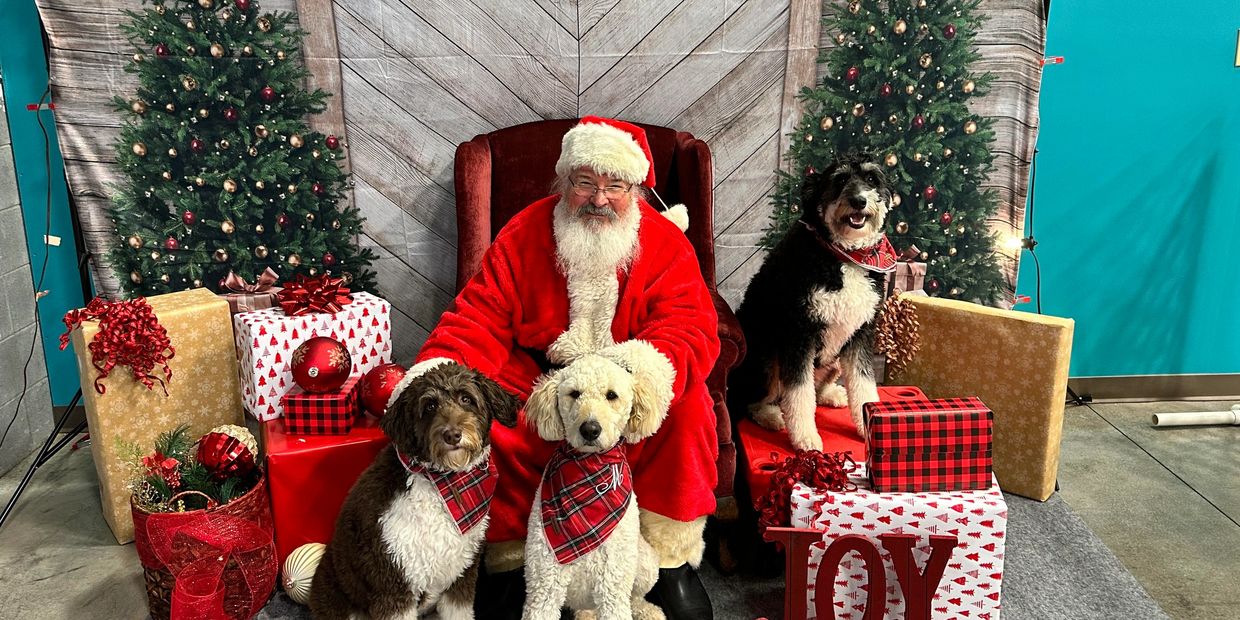 Photos with Santa Claus!  15 minute sessions for $35. Up to 5 digital pictures. 

Scheduling:
https: