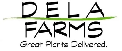 Dela Farms