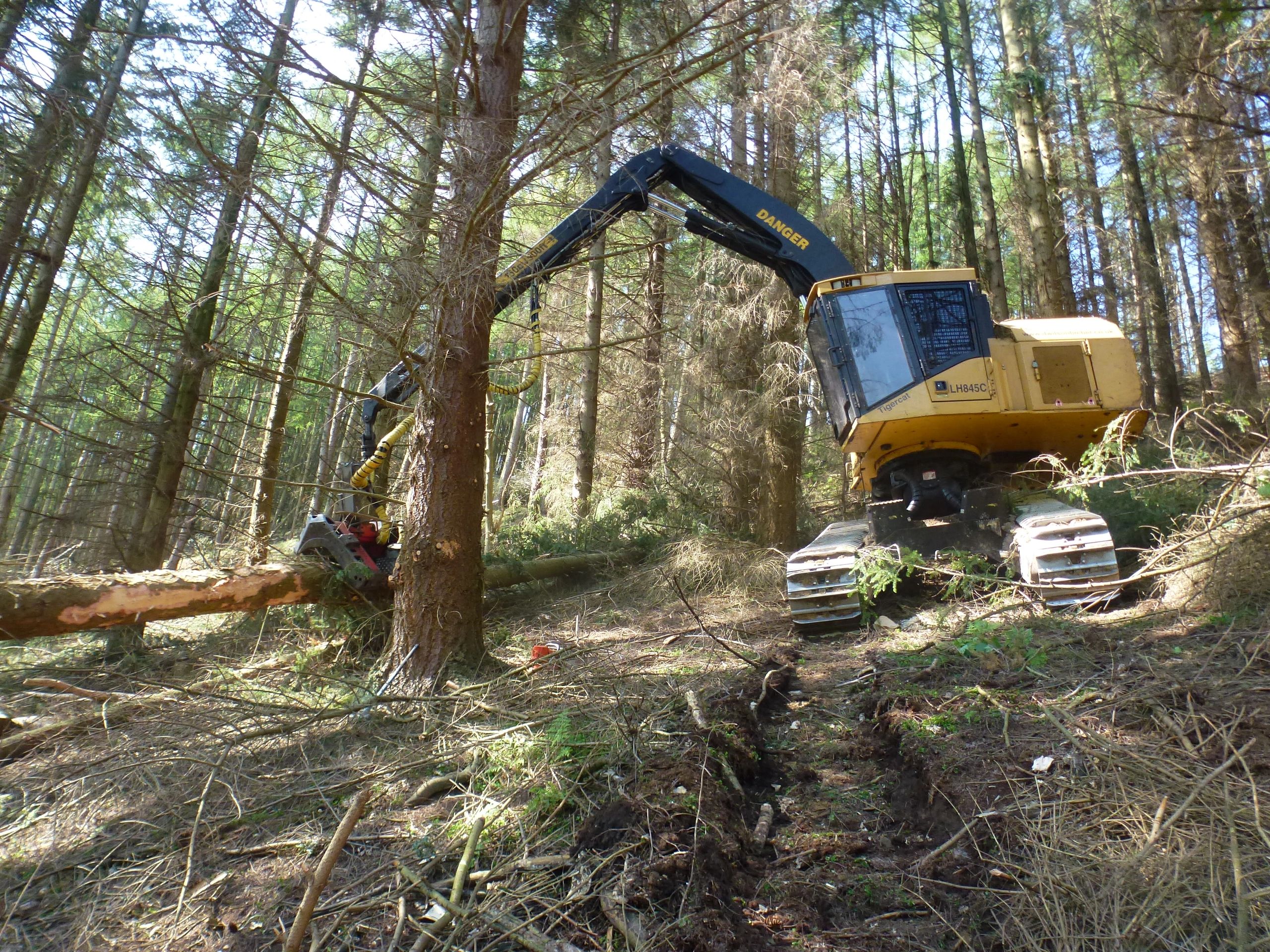 Tigercat LH845C with Logmax 9000 harvesting head