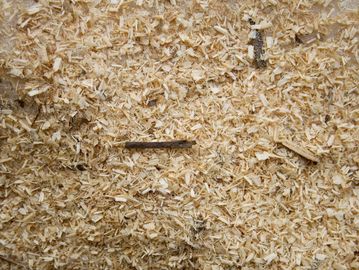 Sawdust for briquettes, pottery, animal bedding - collection or delivery from D Wilson Timber